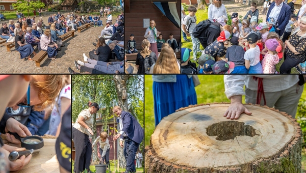 FOTOD Lipupäeval meenutati ajalugu ning istutati vanale tammele asemikud